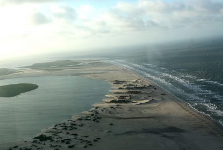 Cabure in Lençois Maranhenses