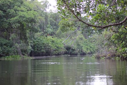 Preguiças’s River in Lencois Maranhenses