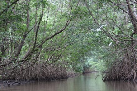 Preguiças’s River in Lencois Maranhenses