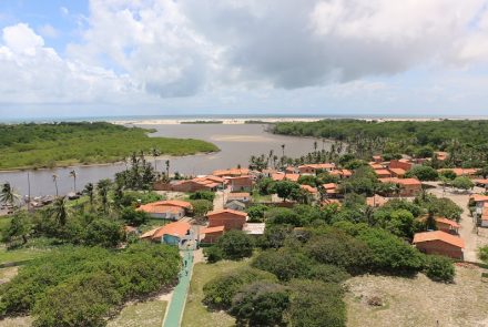 Mandacaru in Lencois Maranhenses