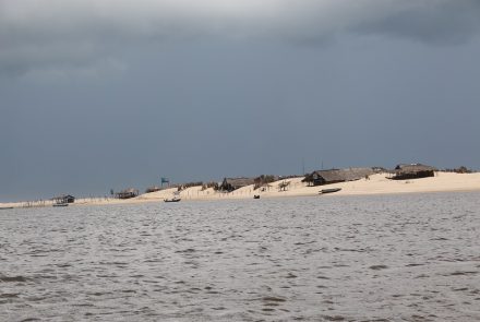 Cabure em Lençóis Maranhenses