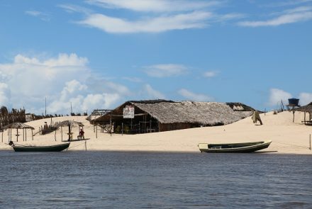 Cabure in Lençois Maranhenses