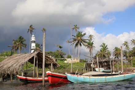 Mandacaru em Lençóis Maranhenses