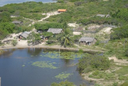 Mandacaru in Lencois Maranhenses